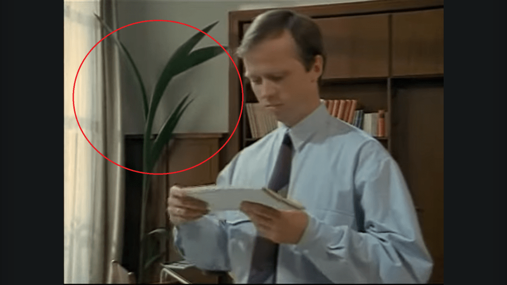 Im Vordergrund steht Rechtssanwalt Arnold in seinem Büro und betrachtet eine Brief. Links im Hintergrund steht eine große Zimmerpflanze, die mit einem roten Kreis markiert ist